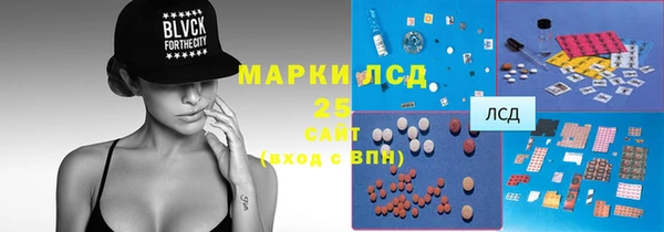 ешки Гусь-Хрустальный