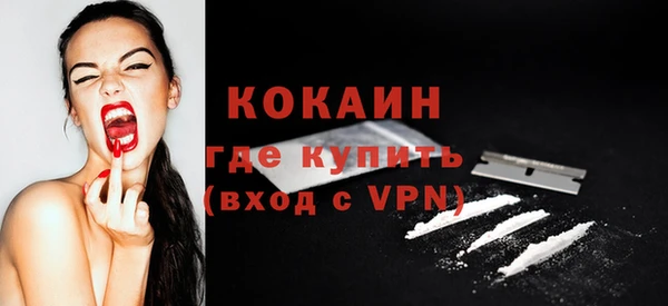 дурь Гусев