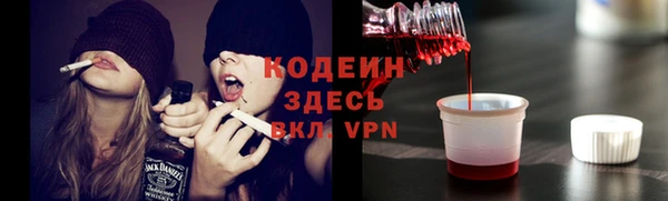 ешки Гусь-Хрустальный