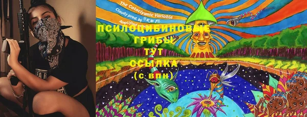 дурь Гусев