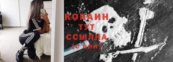 ешки Гусь-Хрустальный