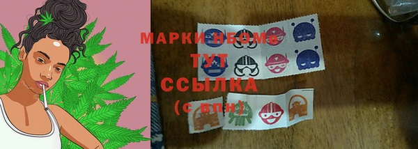 дурь Гусев