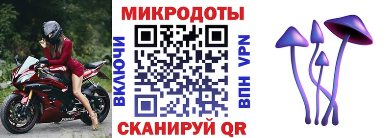 Купить закладки  Хвалынск  Псилоцибиновые грибы Psilocybe 